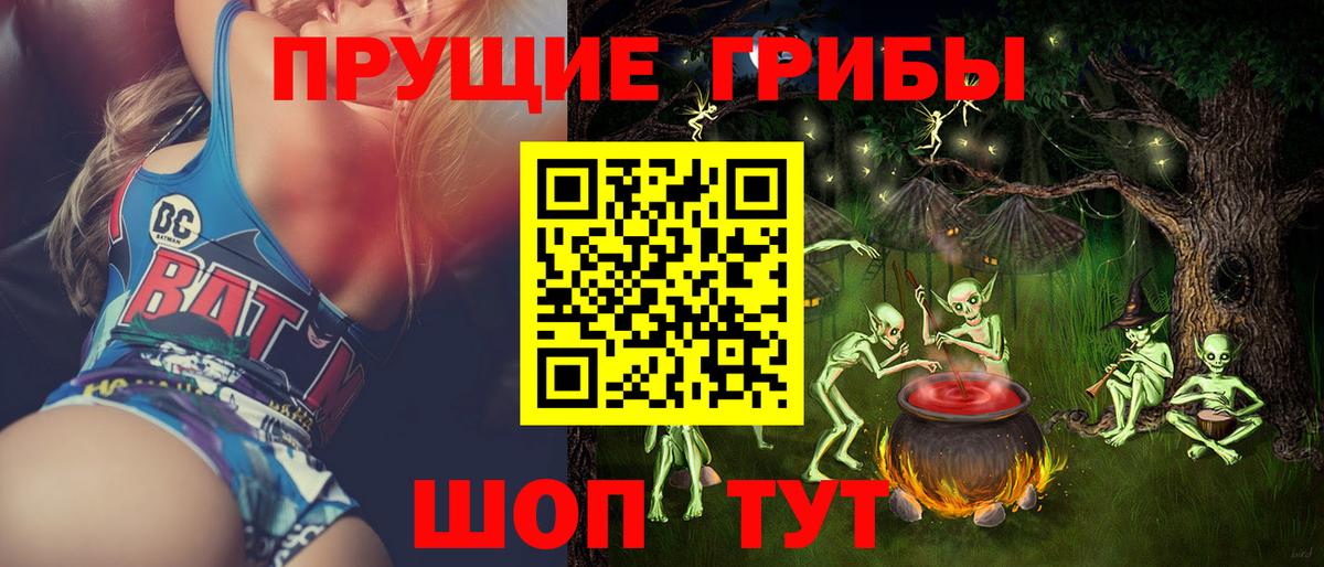Новоалександровск  Галлюциногенные грибы Cubensis  Вход с VPN  Псилоцибиновые грибы Psilocybe 